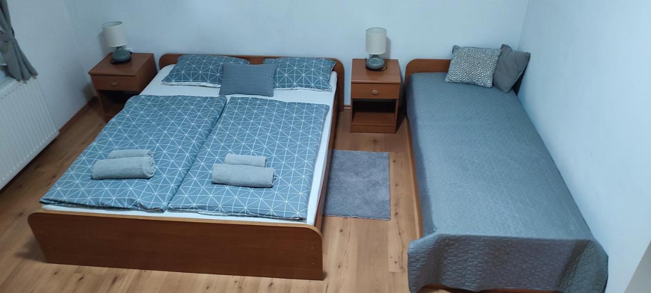 Apartments Vidos Drežnik Grad Extérieur photo