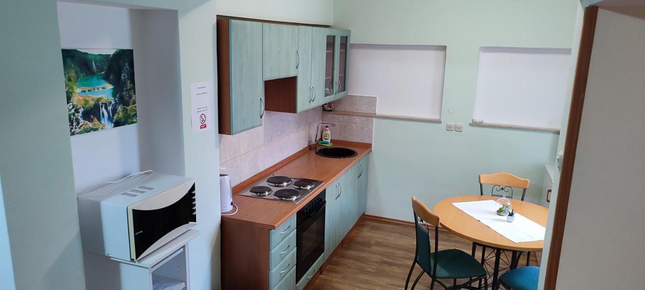 Apartments Vidos Drežnik Grad Extérieur photo