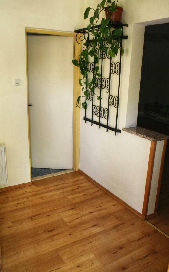 Apartments Vidos Drežnik Grad Extérieur photo
