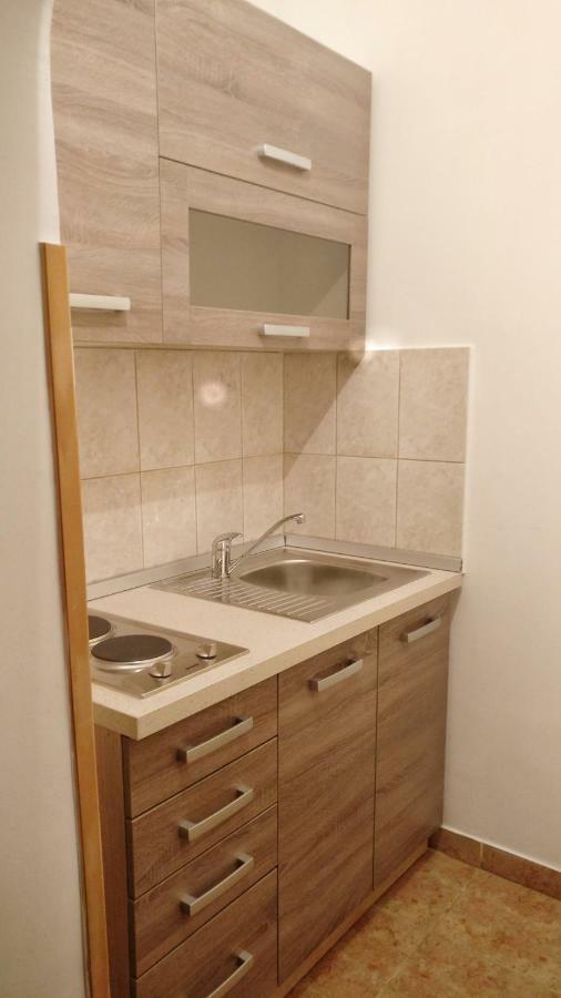 Apartments Vidos Drežnik Grad Extérieur photo